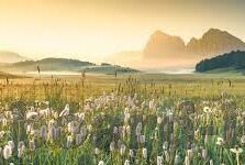 狂暴传奇九游版下载-狂暴传奇九游版畅玩指南，解锁冒险之旅的新篇章